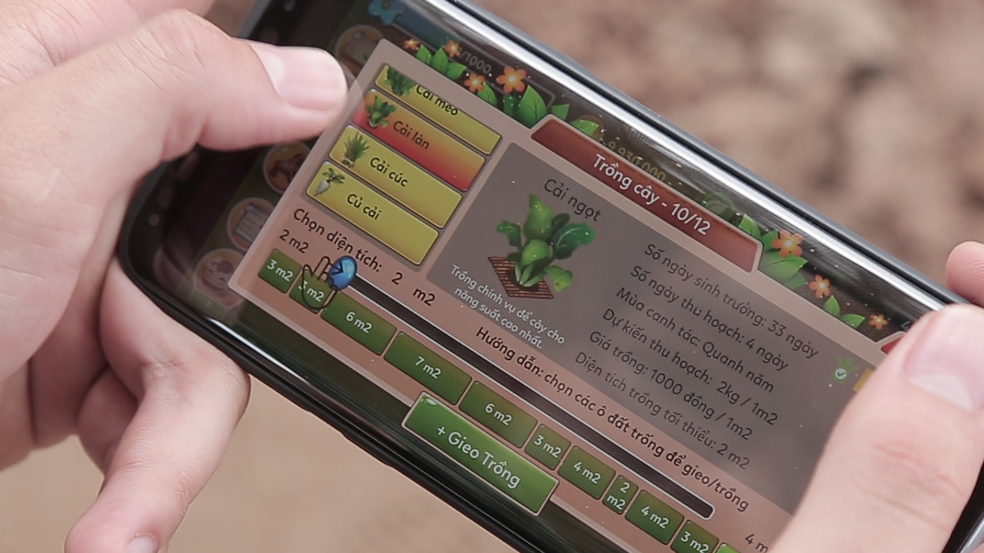 Thue dat ao thu hoach rau that hinh anh