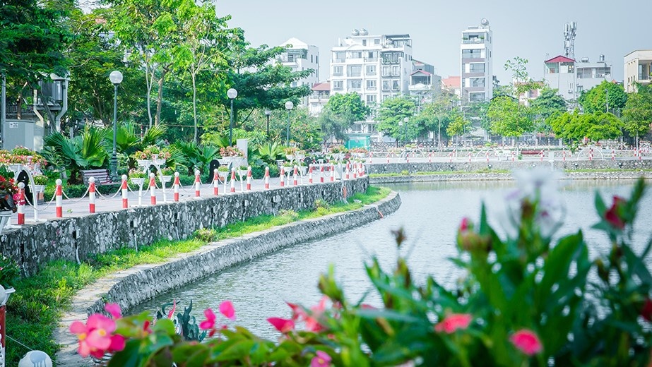 Vi sao nguoi dan ung ho tuyen pho di bo Trinh Cong Son? hinh anh