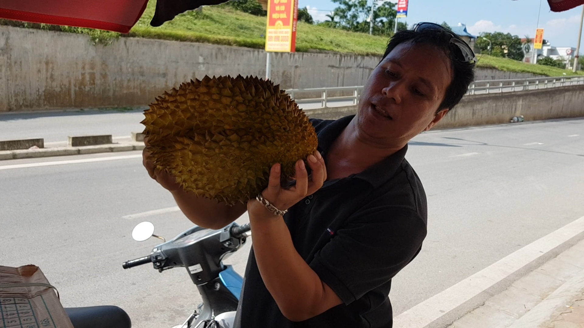 Thuc hu viec giai cuu 17 tan sau rieng o Ha Noi hinh anh