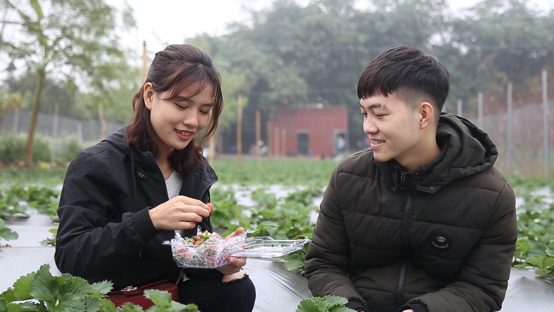 Trai nghiem vuon dau tay dau tien tai Ha Noi nhung ngay can Tet hinh anh