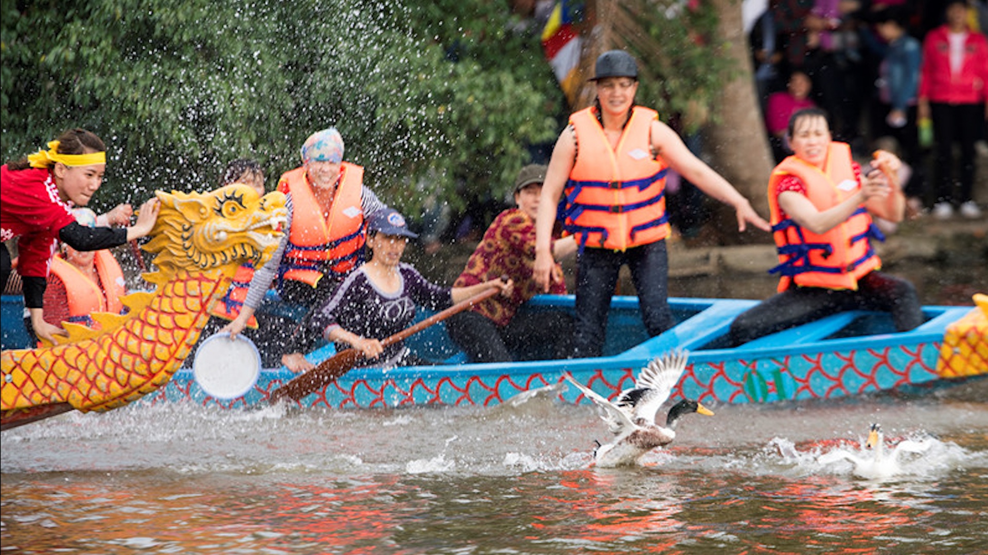 Thi thoi com, te nuoc, bat vit tren song hinh anh