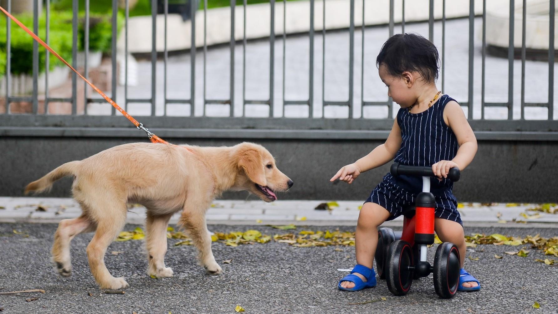 'Cho nha toi rat hien, no khong bao gio can ai' hinh anh