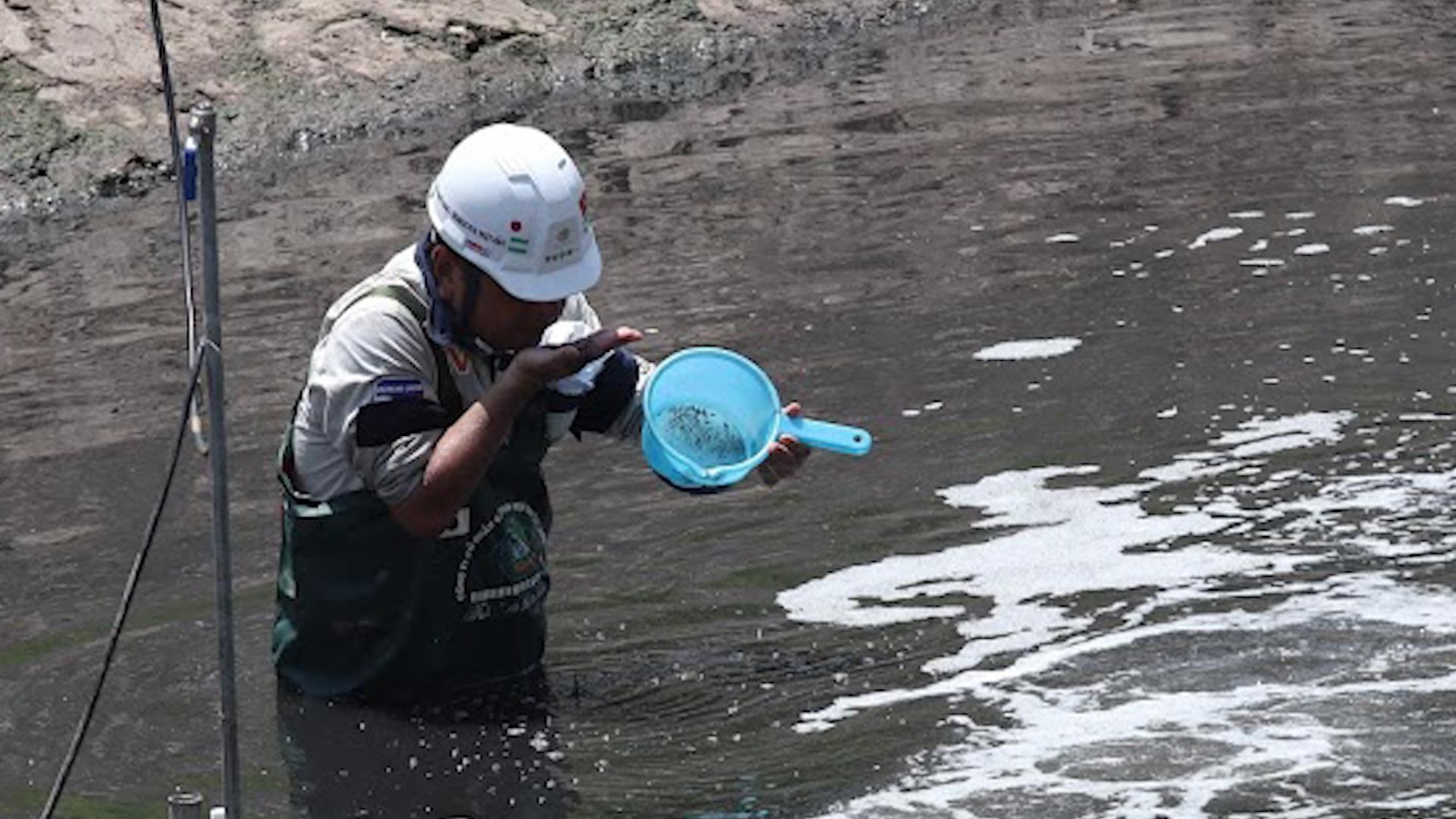 Chuyen gia Nhat ngui mui nuoc song To Lich sau 20 ngay thi diem xu ly hinh anh