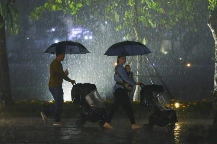 Ha Noi mua tam ta, duong pho ngap truoc giao thua hinh anh