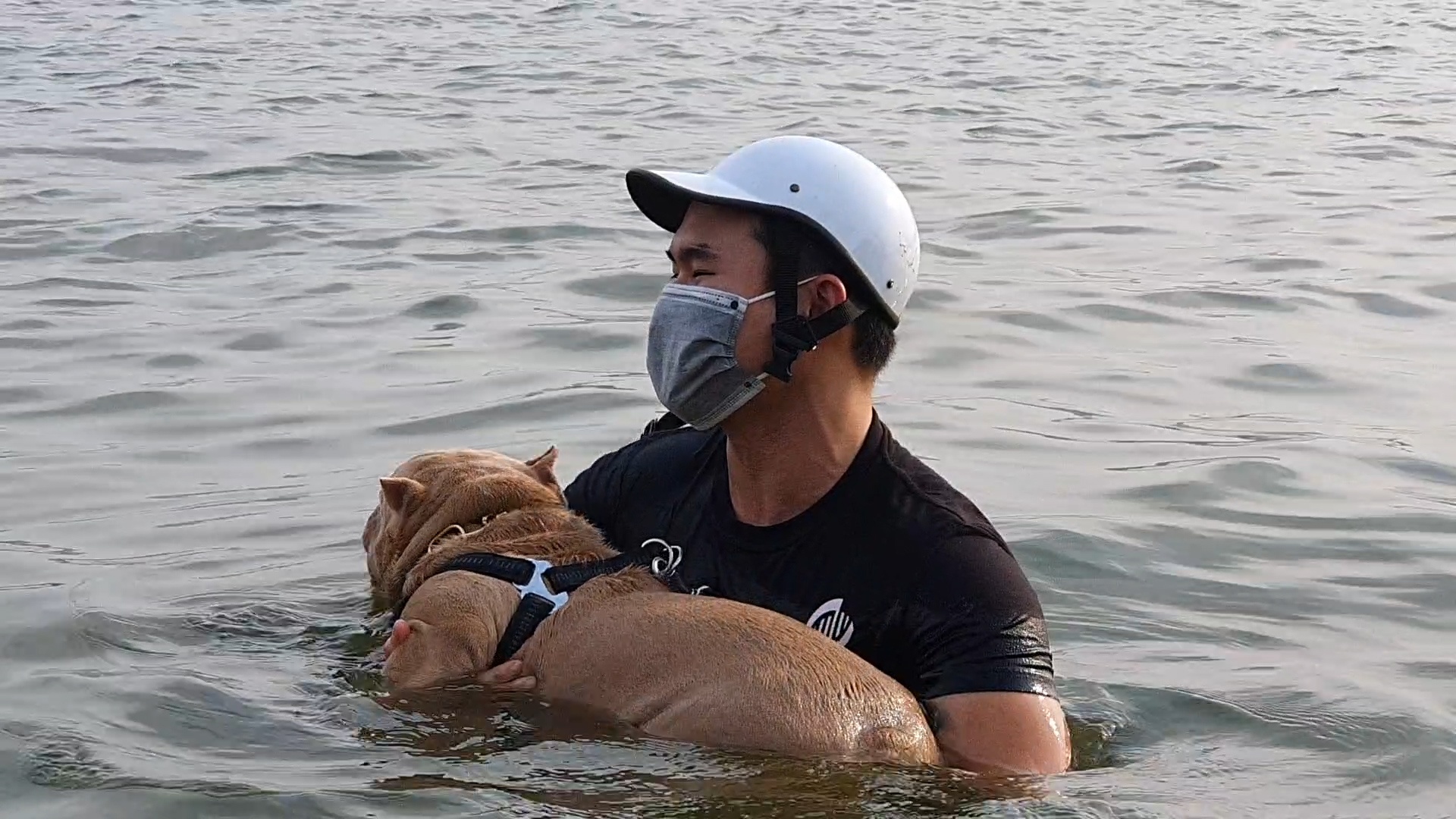 Vuot rao chan Covid-19 xuong ho Tay tam giai nhiet hinh anh