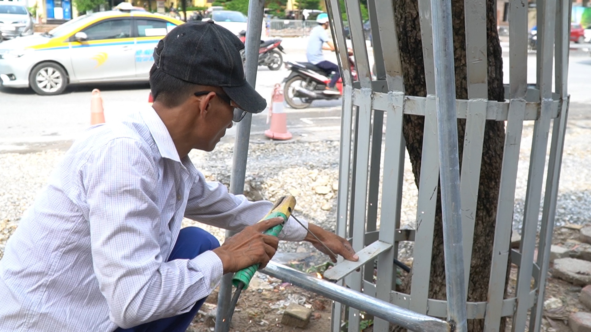 Ha Noi lap camera, dung rao sat bao ve hang cay sua do hinh anh