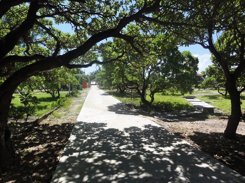 Phong ba, bàng vuông … tạo nên bức tranh đảo yên bình, dung dị .