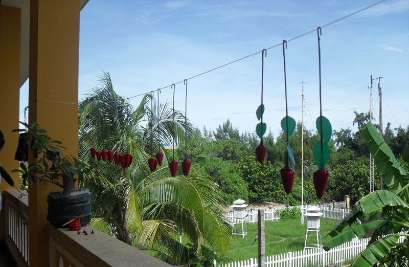 Một góc ban công trên đảo thật nên thơ với phong linh tự làm bằng vỏ ốc.