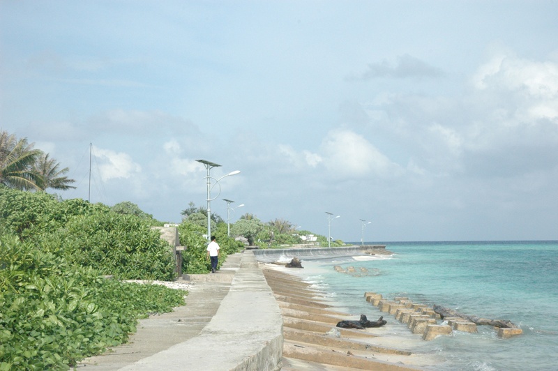 Những hàng cây phong ba trải dài trên cát trắng mang đến vẻ đẹp tươi sáng cho những đường kè ven biển.