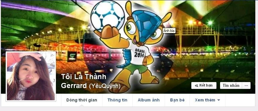 Hình ảnh chú Tatu đáng yêu Fuleco - linh vật chính thức cho World Cup 2014 được khá nhiều fan hâm mộ chọn lựa để thể hiện tinh thần hết mình cùng World Cup.  