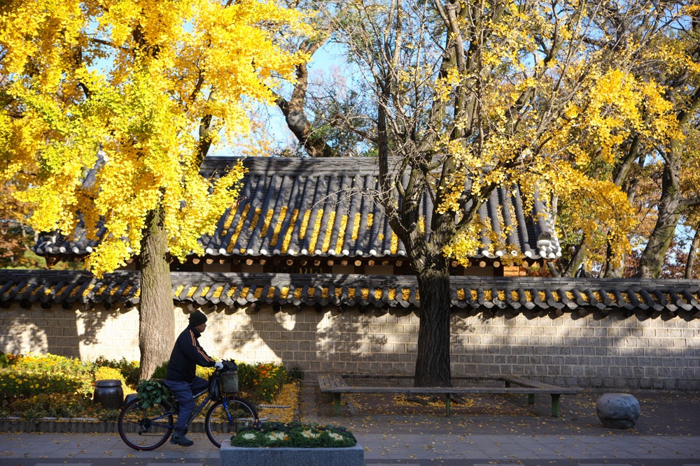 Tham ngoi lang song cham o Han Quoc hinh anh