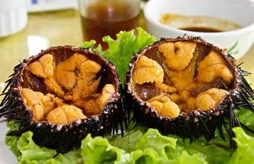 Con Nhum (cầu gai) ăn sống.