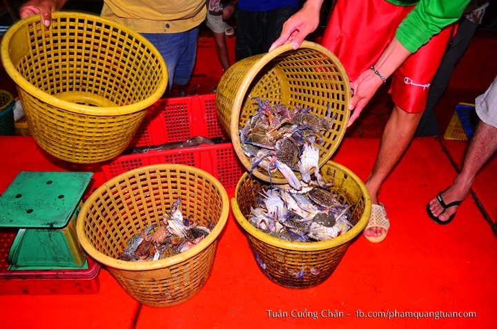 Cả nhóm phi lên tàu mua hải sản.