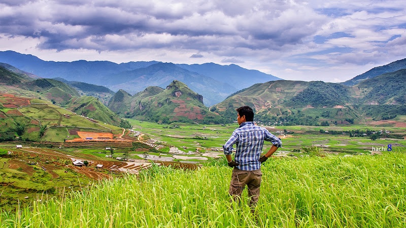 Thung lũng mát dịu mùa xanh lá.