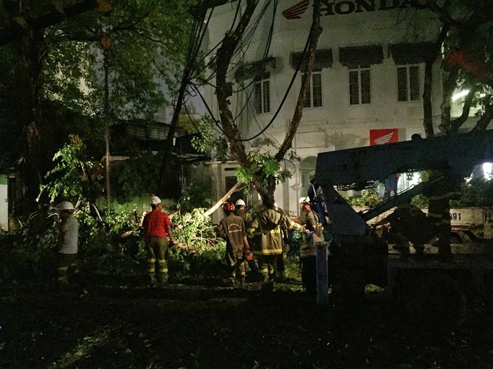 cay co do de 2 nguoi bi thuong anh 1