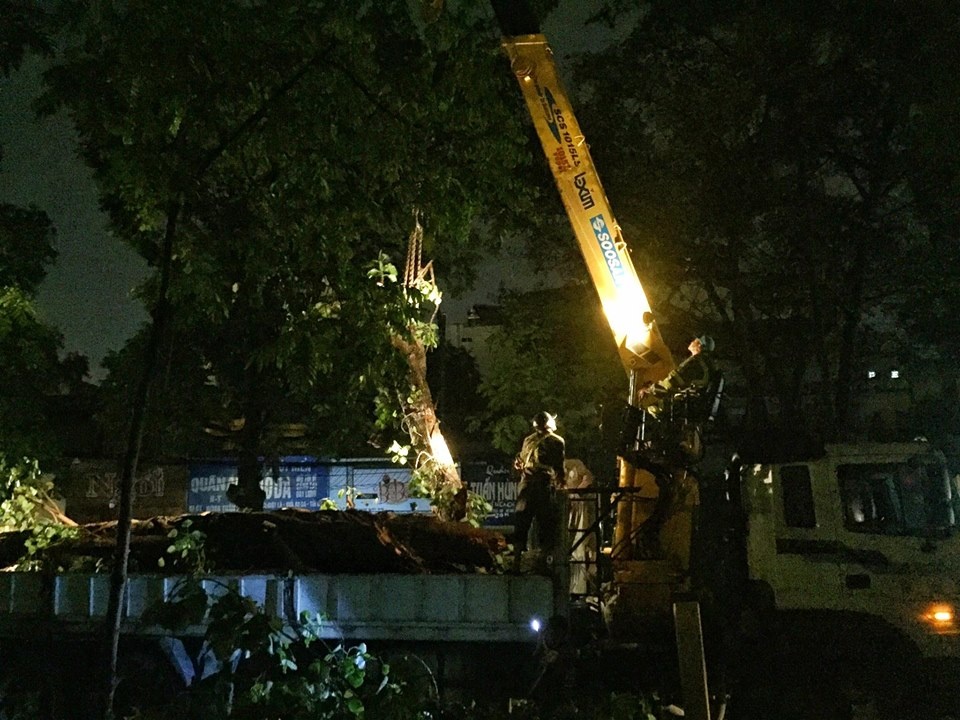 cay co do de 2 nguoi bi thuong anh 2