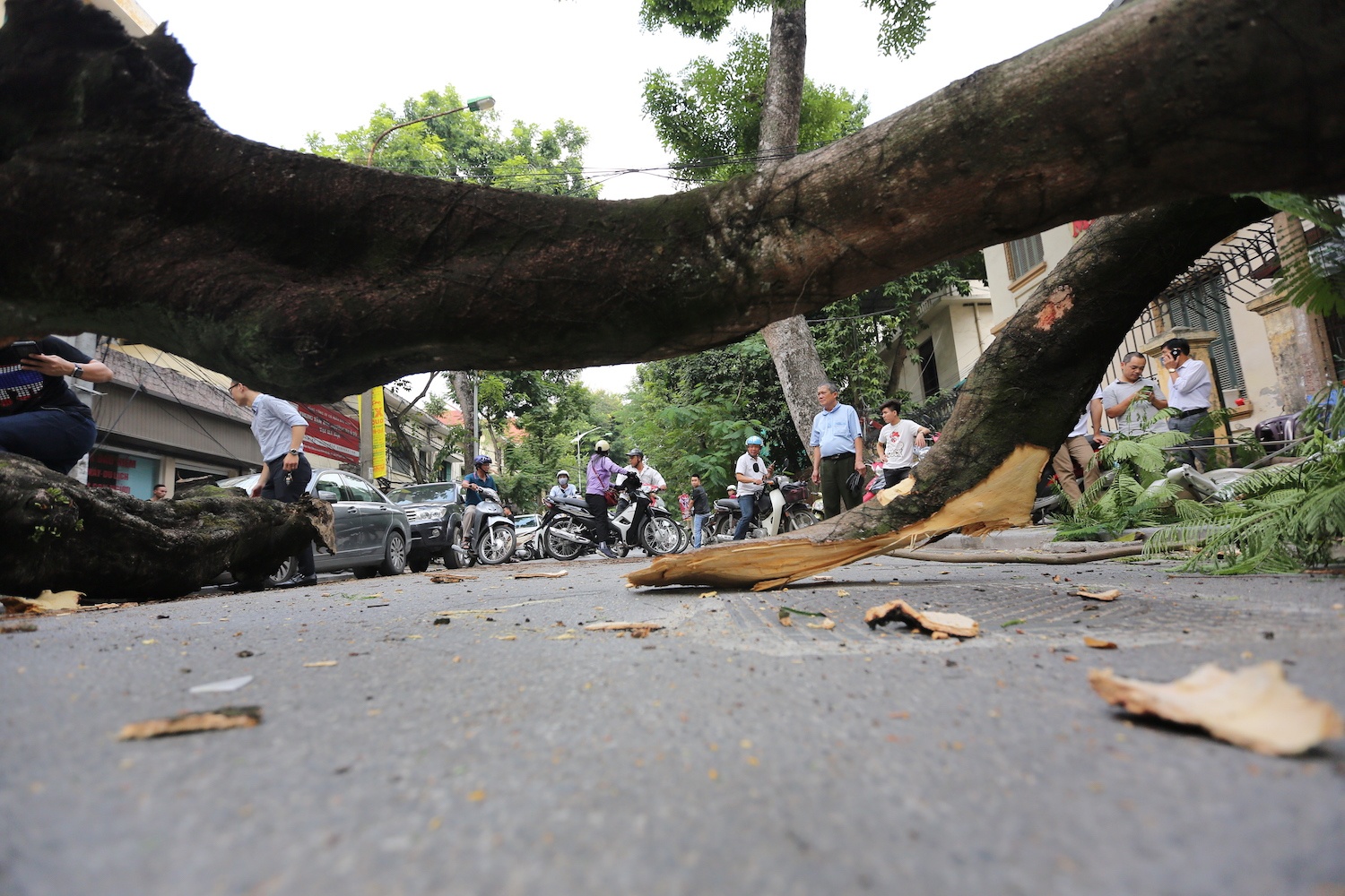 co thi de xe Mercedes o trung tam Ha Noi anh 8