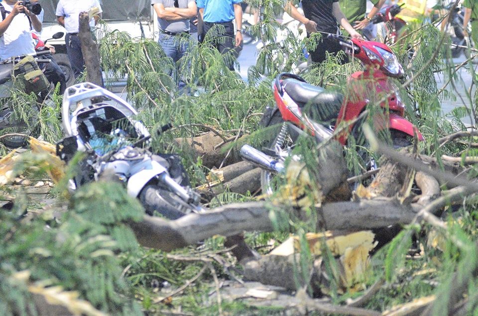 Cay co thu do giua pho, 5 nguoi nhap vien hinh anh