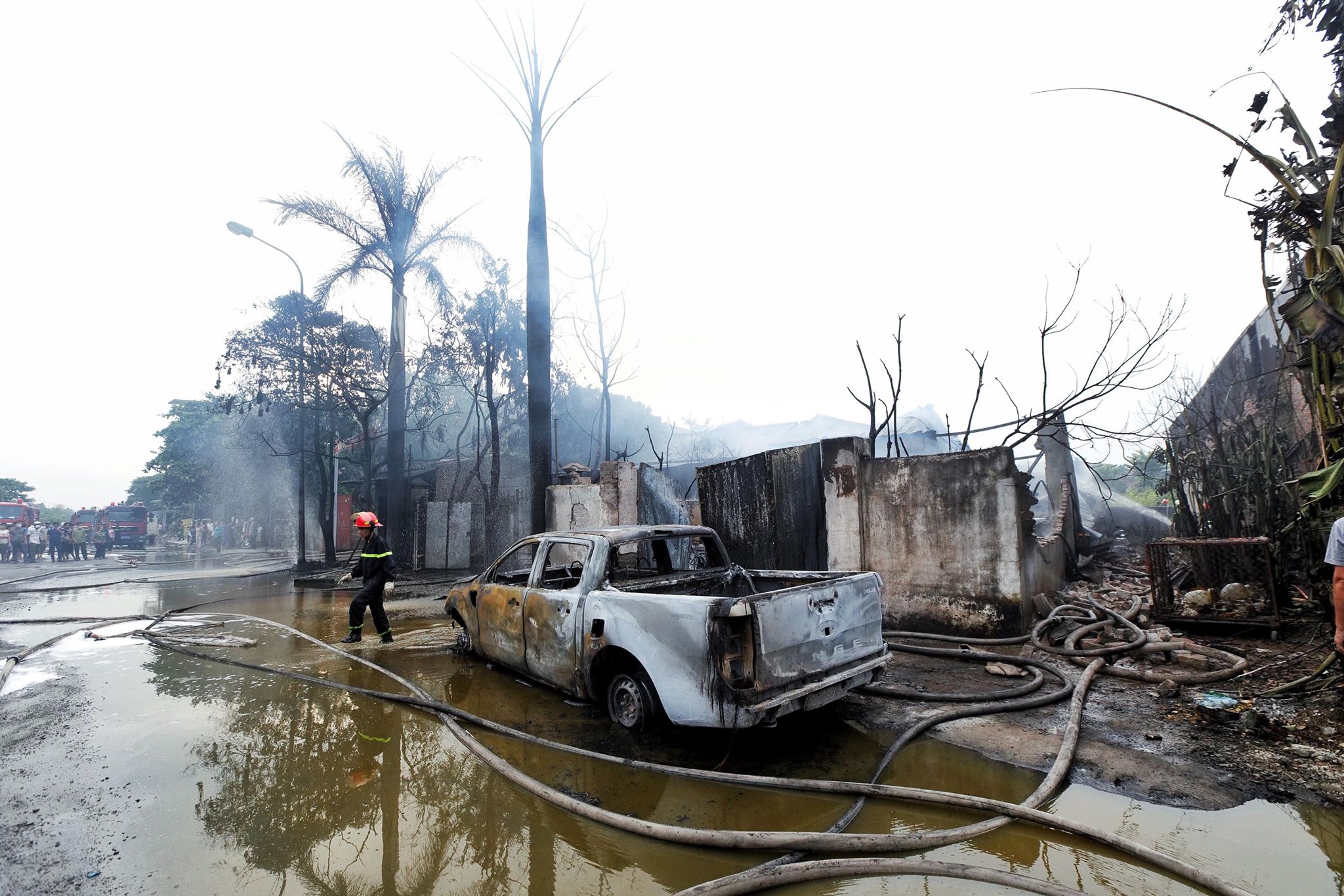 Dai lo Thang Long anh 7