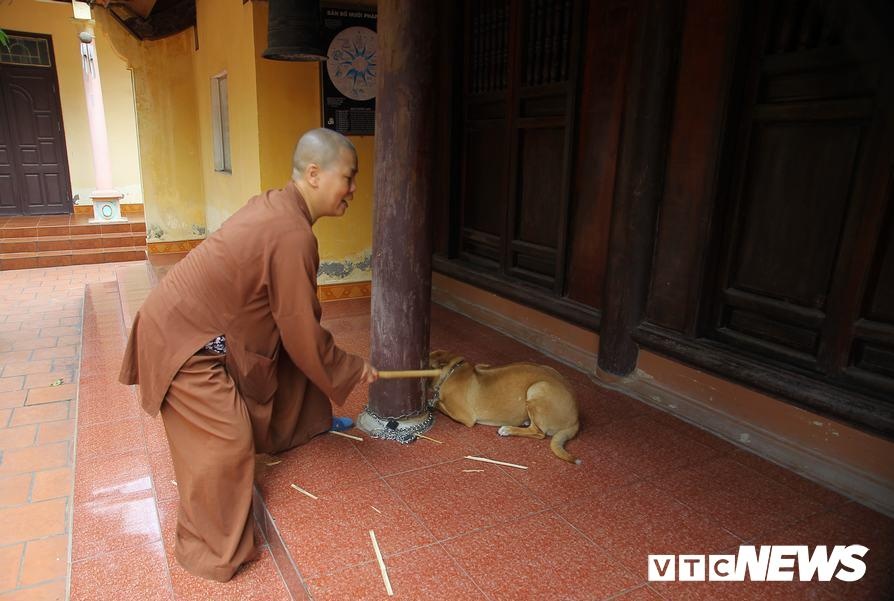 Sư thầy chùa Sùng Quang ảnh 1 Su thay chua Sung Quang anh 1