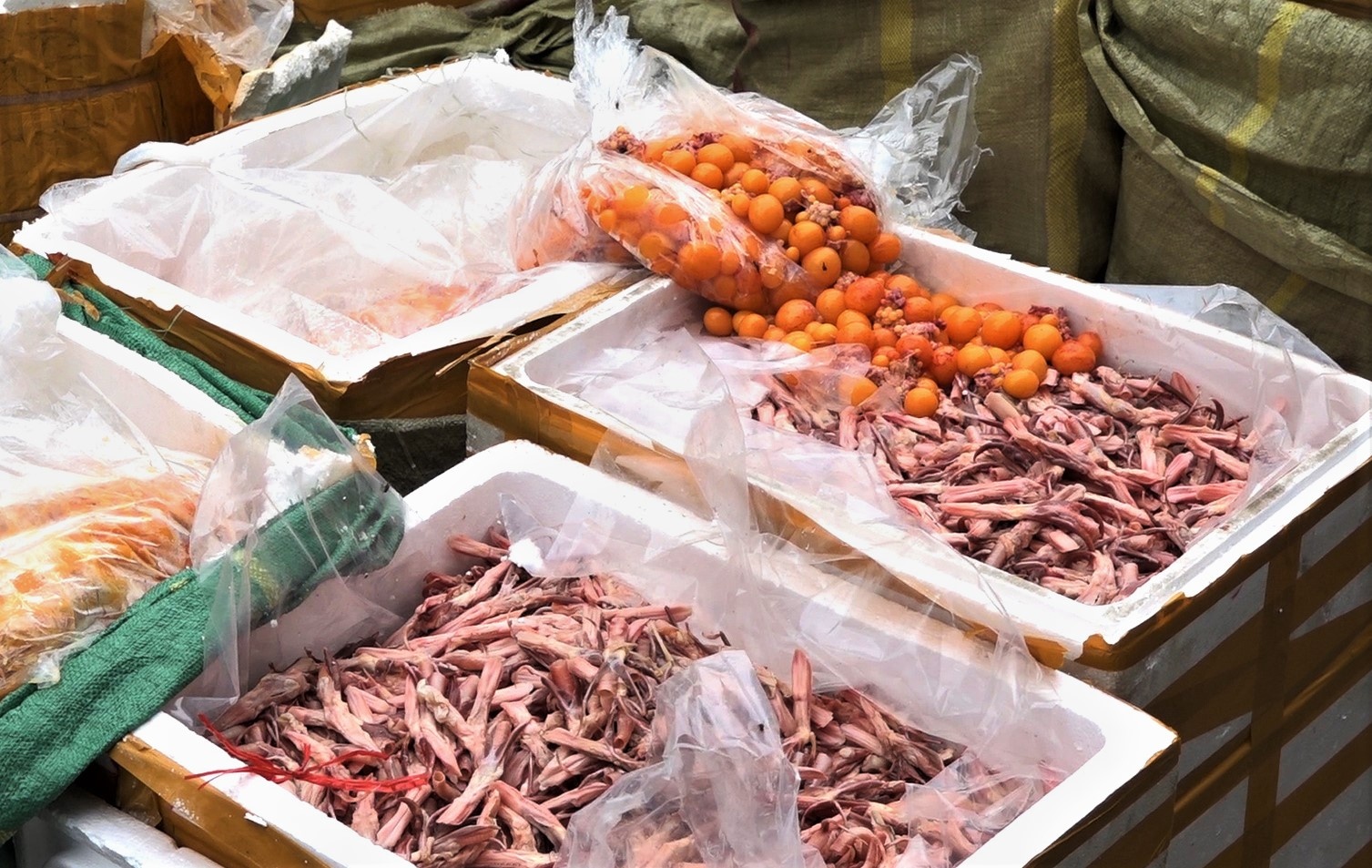 Chan 2 container chua gan 5 tan thuc pham thoi dua vao TP.HCM ban hinh anh