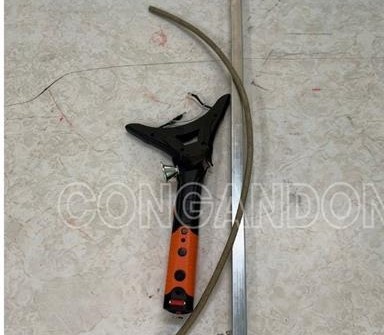 tra tan nu nhan vien o Dong Nai anh 2