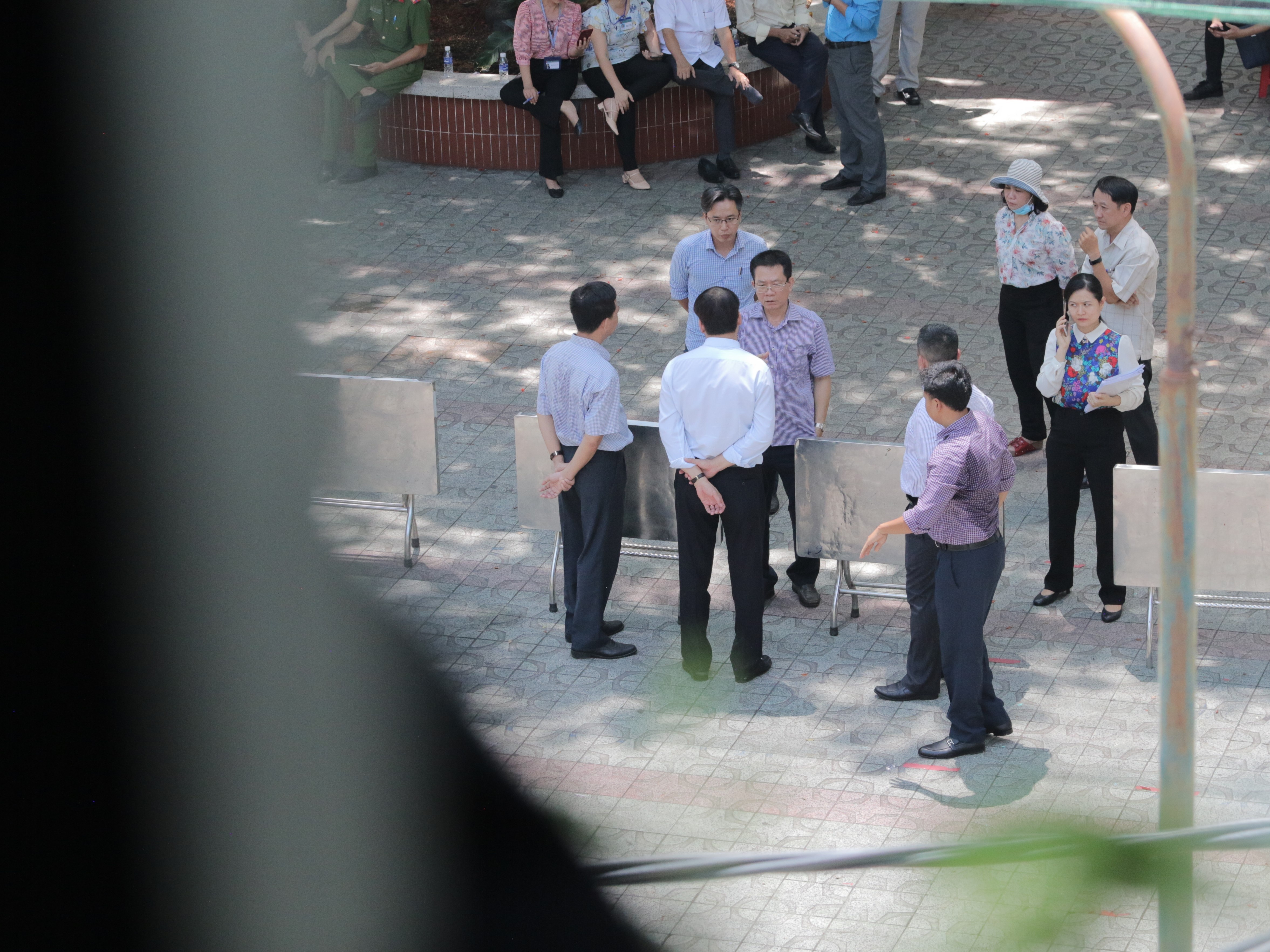 cay do truong THCS Bach Dang anh 3