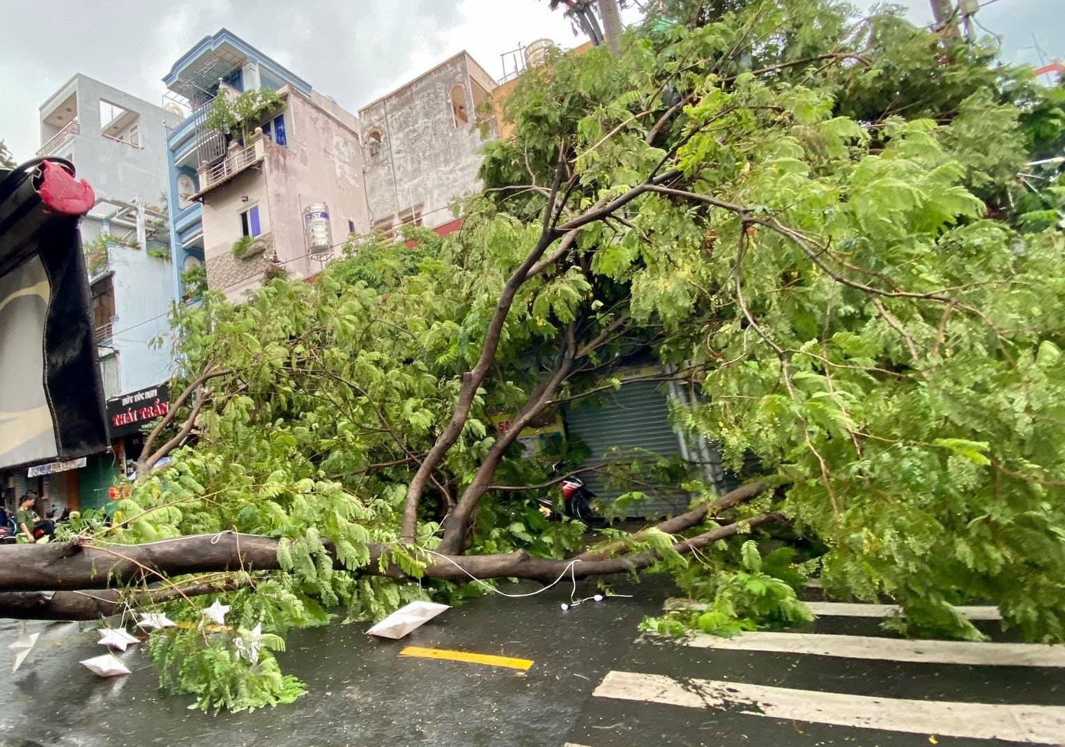 Cay bat goc, do vao nha dan sau con mua o TP.HCM hinh anh