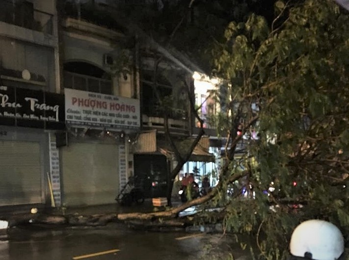 Cay bat goc trong dem mua lon o TP.HCM lam 1 nguoi bi thuong hinh anh