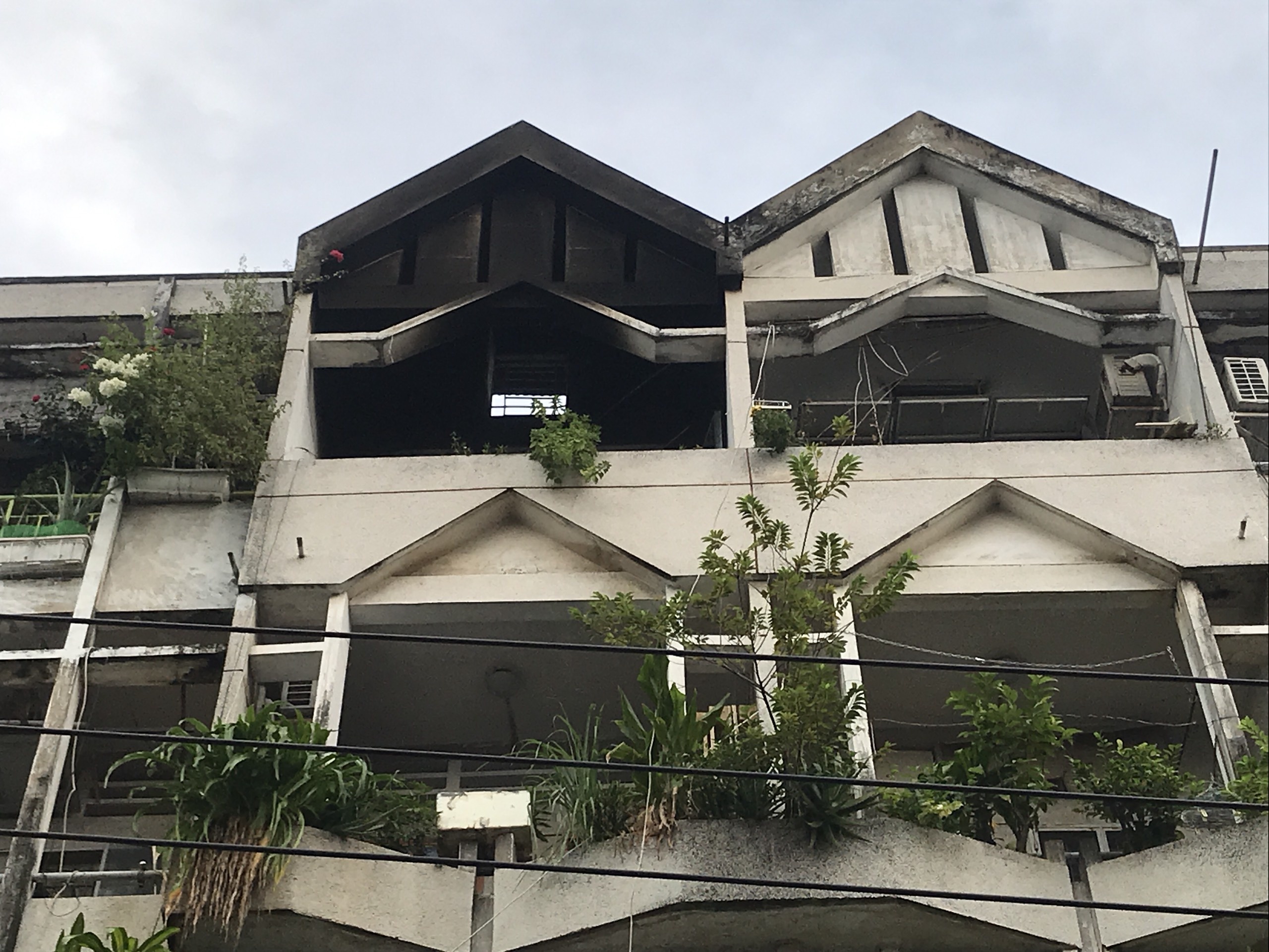 Chay chung cu vuon lai anh 1