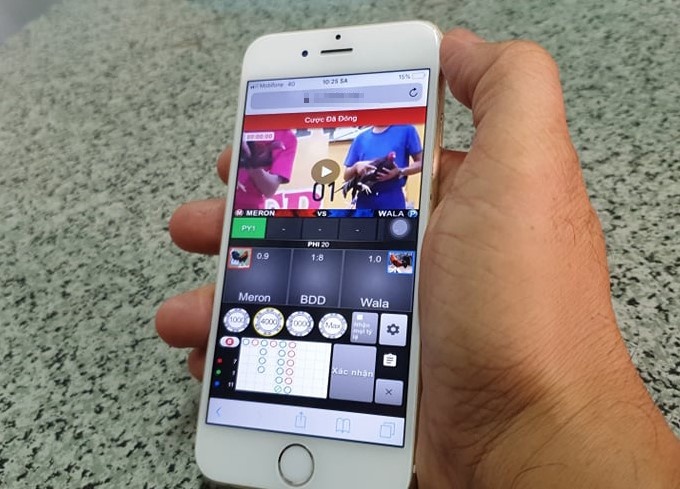 O ca do da ga online qua dien thoai o TP.HCM hinh anh