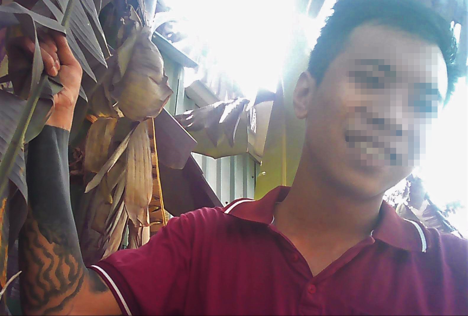 Mua ban phao hoa tet mang xa hoi anh 4