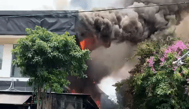 Chay nha hang o Thao Dien hinh anh