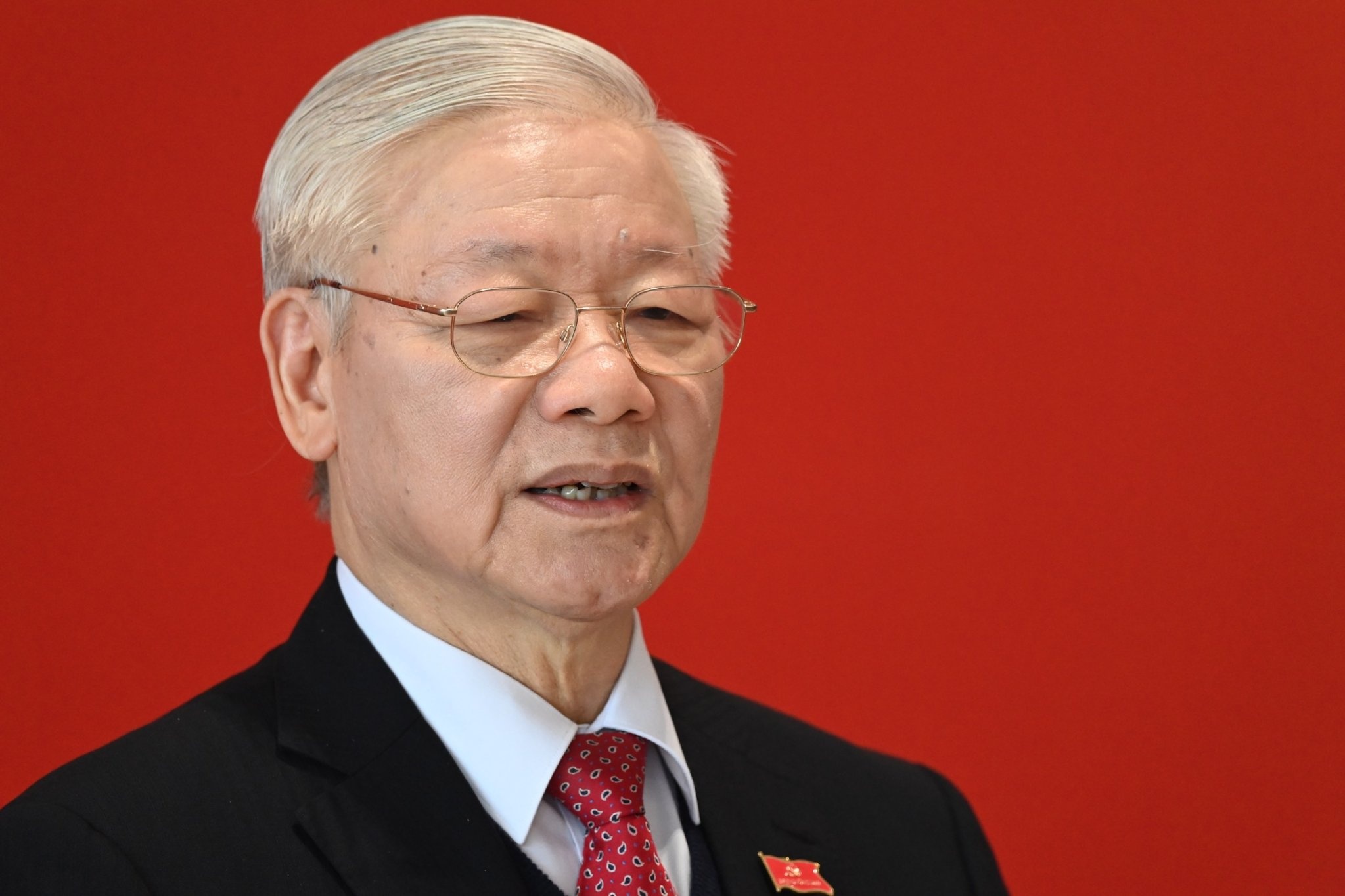 Chu tich nuoc thuc hien hieu qua cac nhiem vu trong nhiem ky 2016-2021 hinh anh