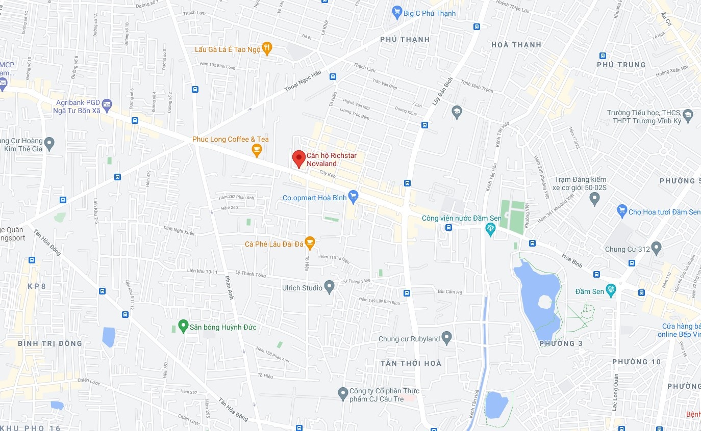 Dich covid-19 tai TP.HCM anh 2