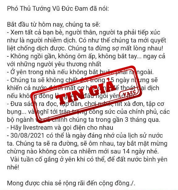 gia mao phat ngon cua Pho Thu tuong Vu Duc Dam anh 1