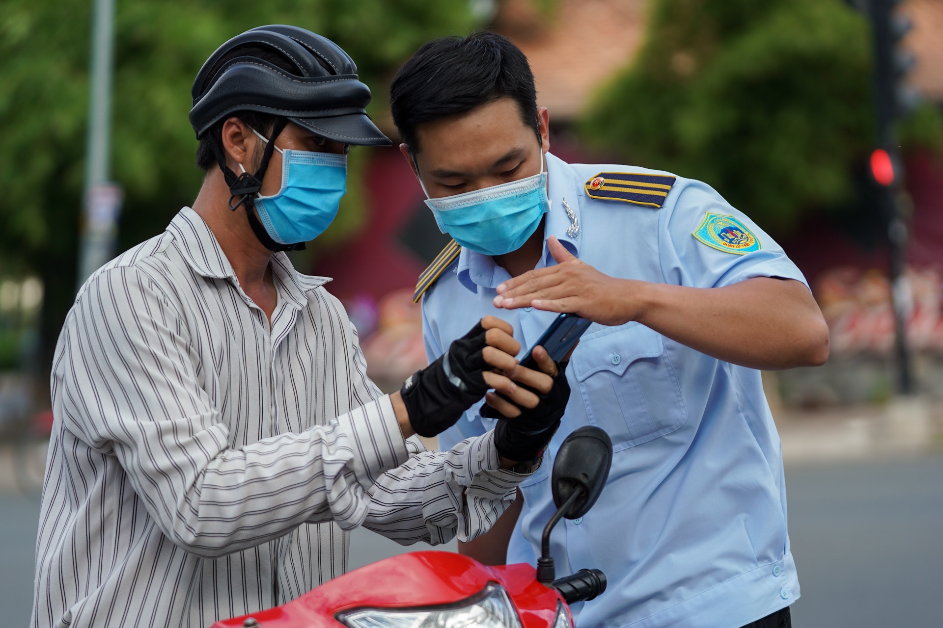 Khai báo di chuyển nội địa  ảnh 1 Khai bao di chuyen noi dia anh 1