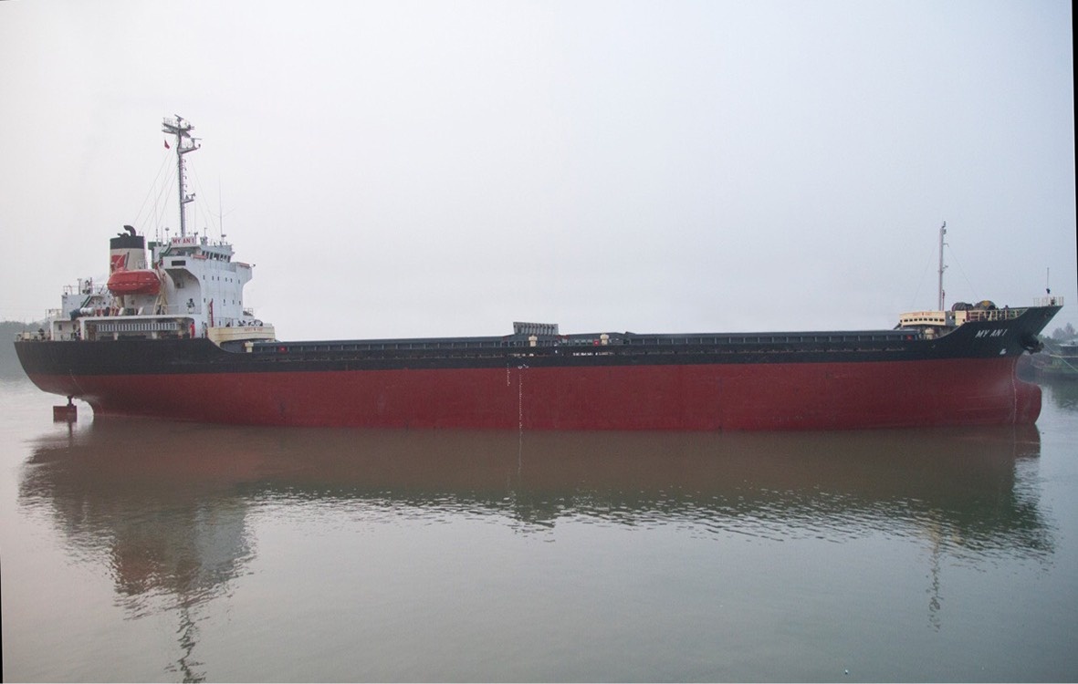 Tau chim o cang vung tau anh 1