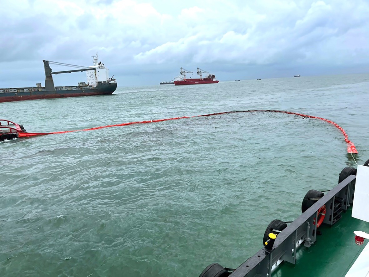 Tau chim o cang vung tau anh 2