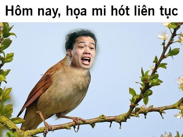 Anh che 'hoa mi' Cong Phuong sang nhat hiep 1 tran Viet Nam - Iraq hinh anh