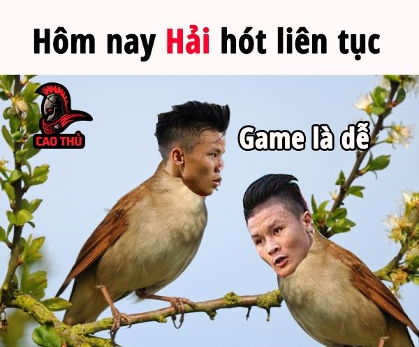 anh che Viet Nam Yemen anh 7