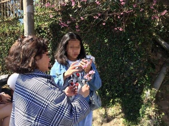 Nhung hanh vi tu xau xi den pham phap cua nguoi tre khi du lich hinh anh