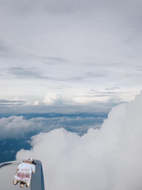 chu cho bi che anh vi dang ngu kho do anh 6