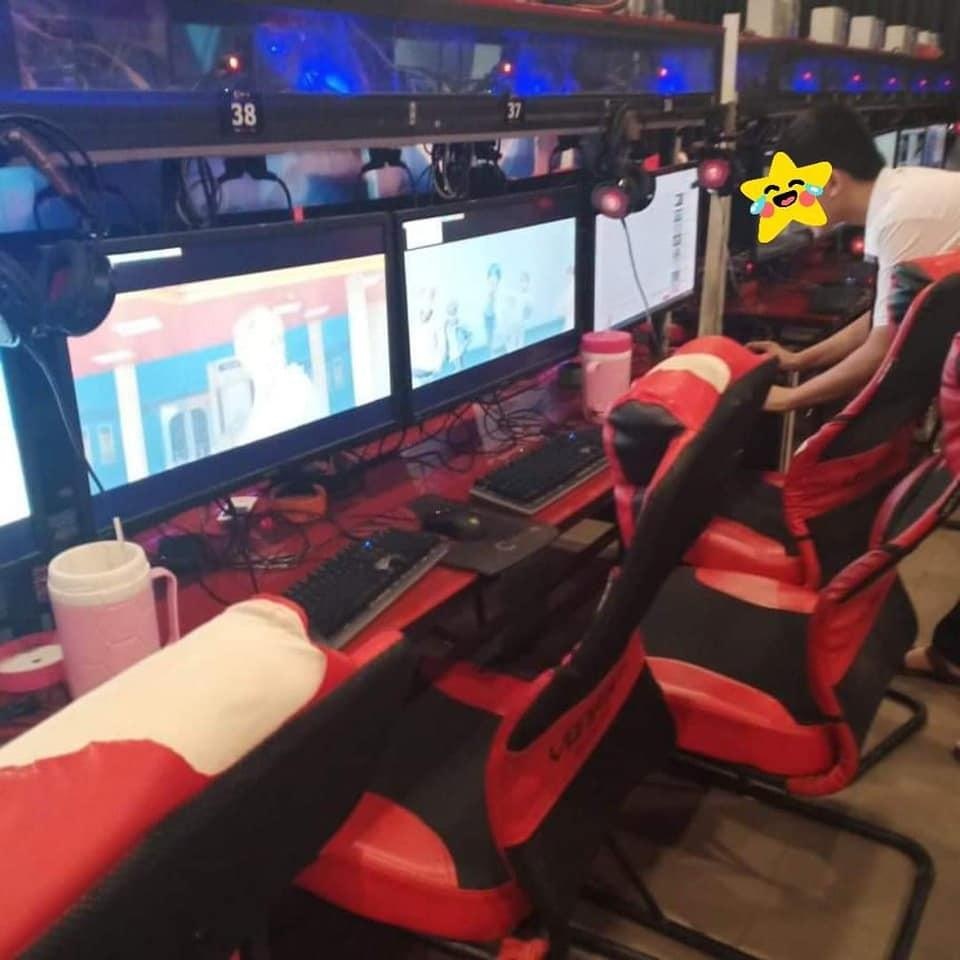 Cay view cho BTS anh 5