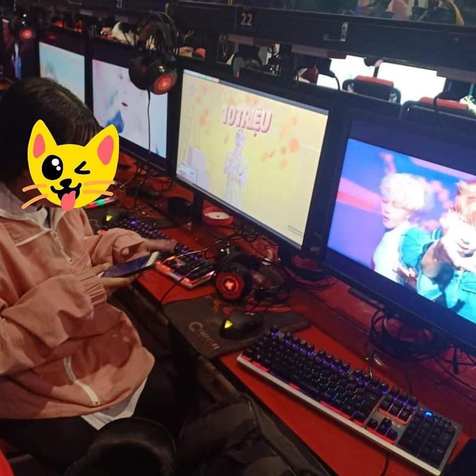 Cay view cho BTS anh 7