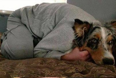 hinh anh gay nham lan anh 1