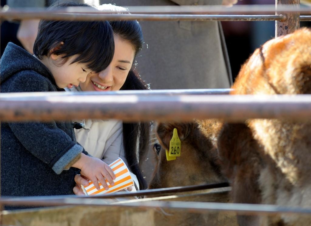 hoang tu be Nhat Ban Hisahito anh 6