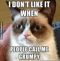 meme chú mèo cau có ảnh 5 meme chu meo cau co anh 5