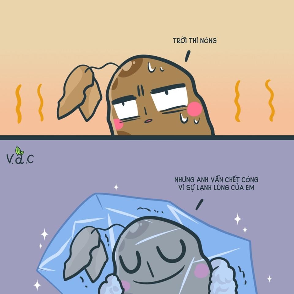 di dau tranh nong anh 3