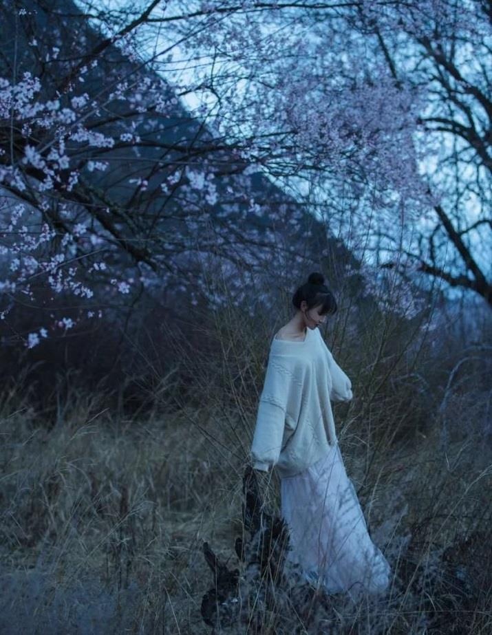 lý tử thất ảnh 3 ly tu that anh 3